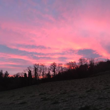 Forest View - Castlewellan, County Down بلفاست المظهر الخارجي الصورة