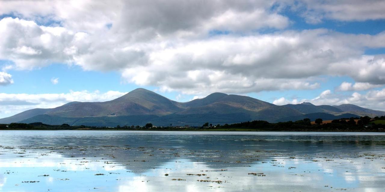 Forest View - Castlewellan, County Down بلفاست المظهر الخارجي الصورة