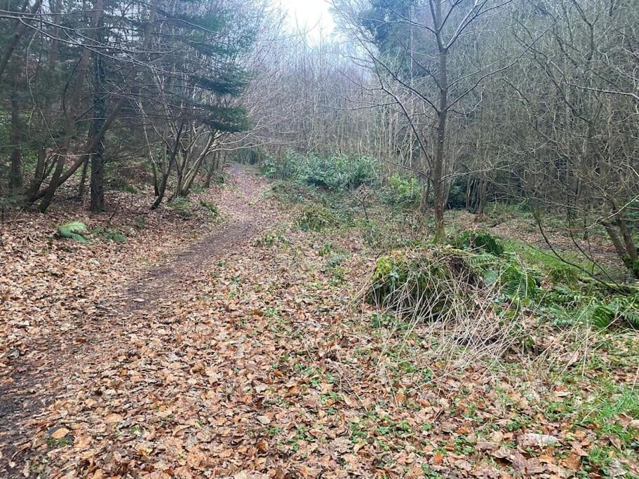 Forest View - Castlewellan, County Down بلفاست المظهر الخارجي الصورة