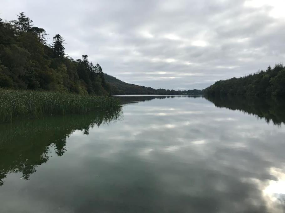Forest View - Castlewellan, County Down بلفاست المظهر الخارجي الصورة