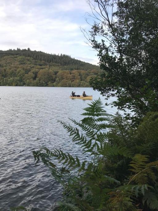 Forest View - Castlewellan, County Down بلفاست المظهر الخارجي الصورة