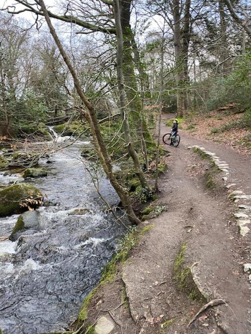 Forest View - Castlewellan, County Down بلفاست المظهر الخارجي الصورة