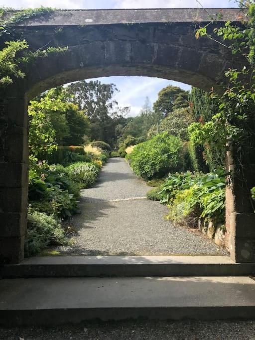 Forest View - Castlewellan, County Down بلفاست المظهر الخارجي الصورة