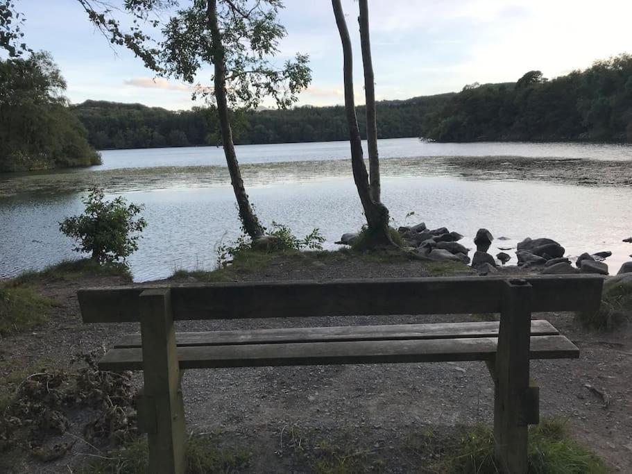 Forest View - Castlewellan, County Down بلفاست المظهر الخارجي الصورة