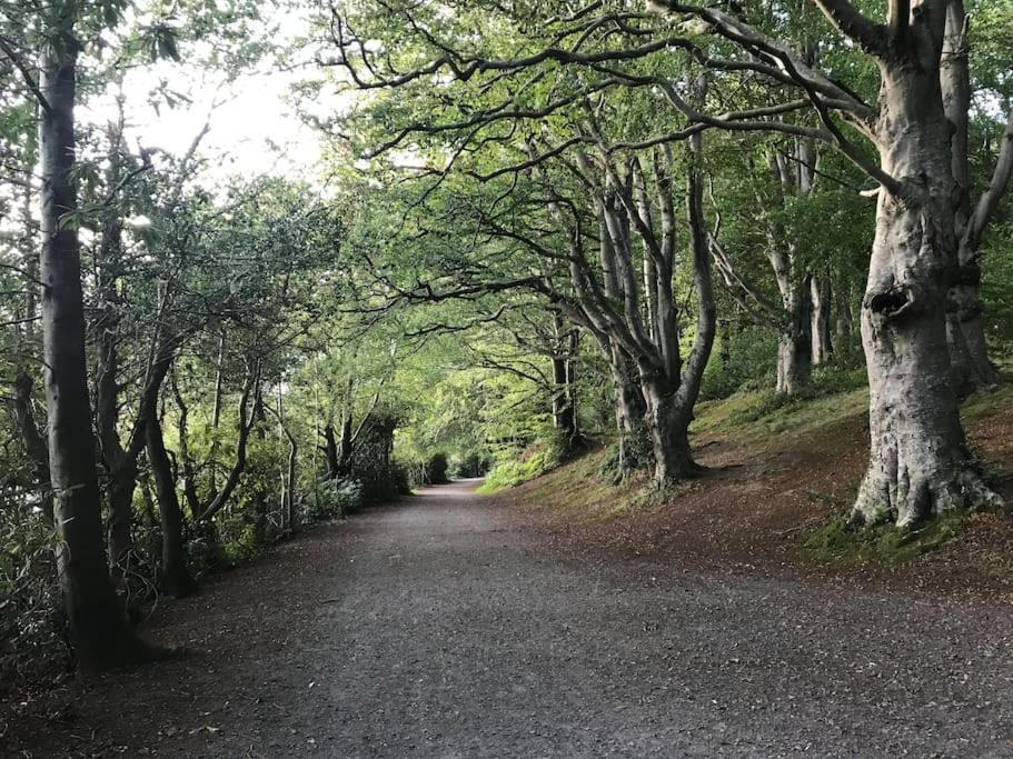 Forest View - Castlewellan, County Down بلفاست المظهر الخارجي الصورة