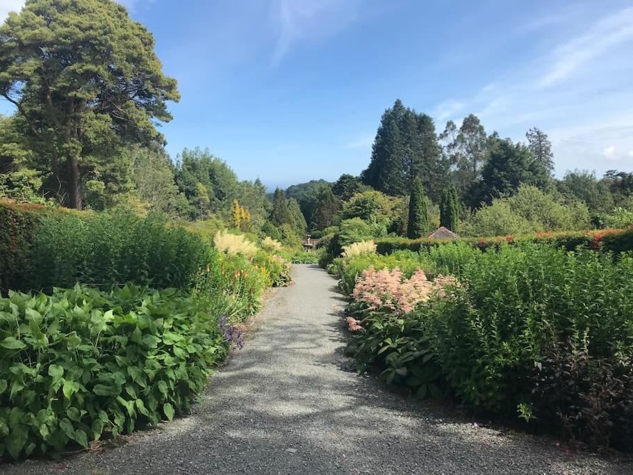 Forest View - Castlewellan, County Down بلفاست المظهر الخارجي الصورة